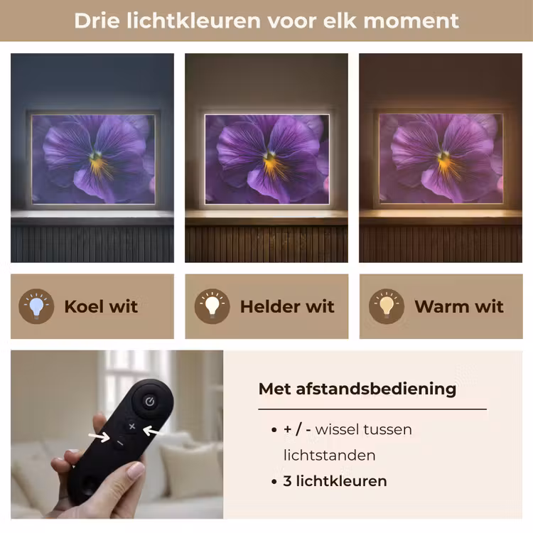 Lightbox - Wandlamp - Paars - Viool - Diepte — 8