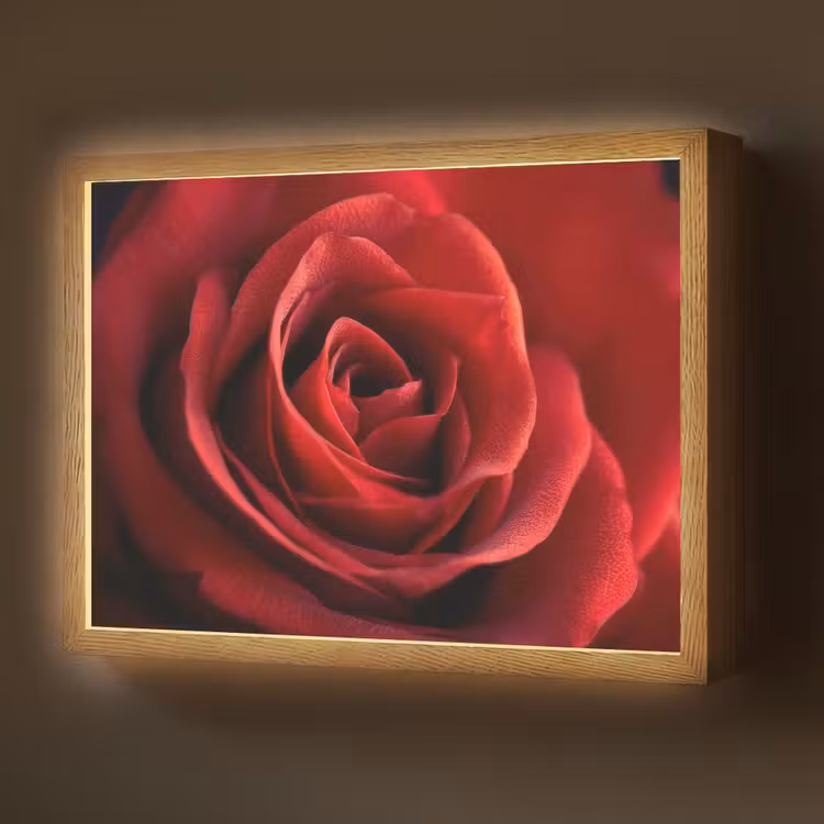 Lightbox - Wandlamp - Rood - Roos - Romantisch — 1