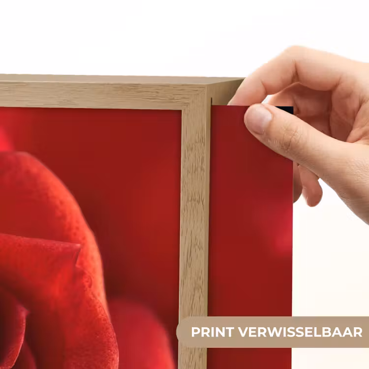 Lightbox - Wandlamp - Rood - Roos - Romantisch — 5