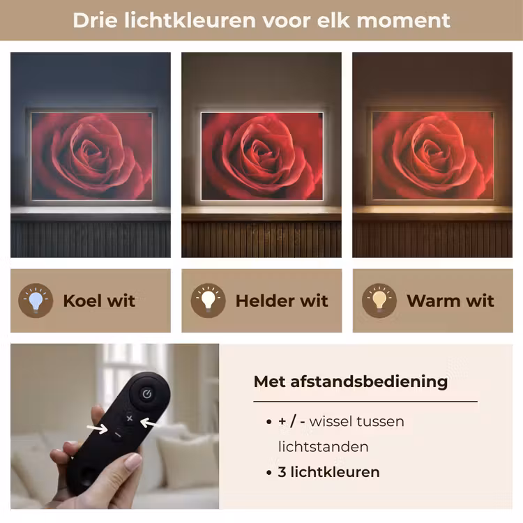 Lightbox - Wandlamp - Rood - Roos - Romantisch — 8