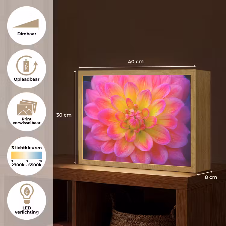 Lightbox - Wandlamp - Roze - Dahlia - Kleurrijk — 10