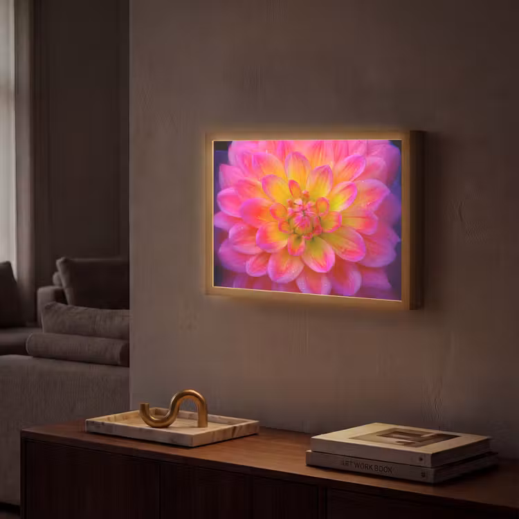 Lightbox - Wandlamp - Roze - Dahlia - Kleurrijk — 2