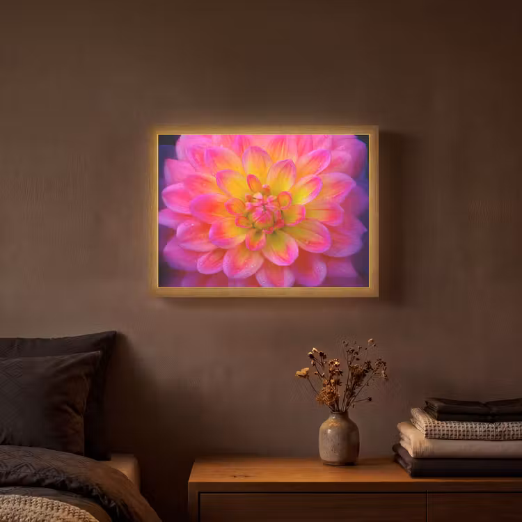 Lightbox - Wandlamp - Roze - Dahlia - Kleurrijk — 3