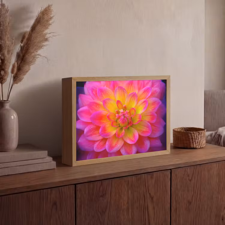 Lightbox - Wandlamp - Roze - Dahlia - Kleurrijk — 4