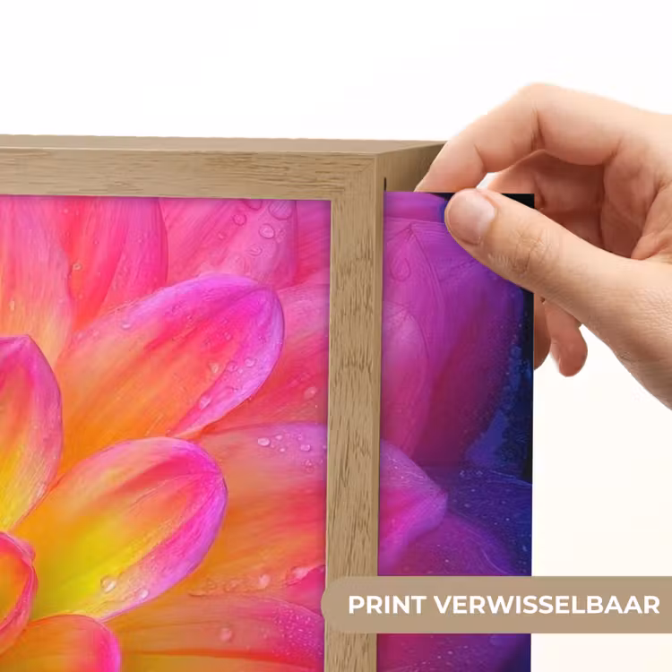 Lightbox - Wandlamp - Roze - Dahlia - Kleurrijk — 5