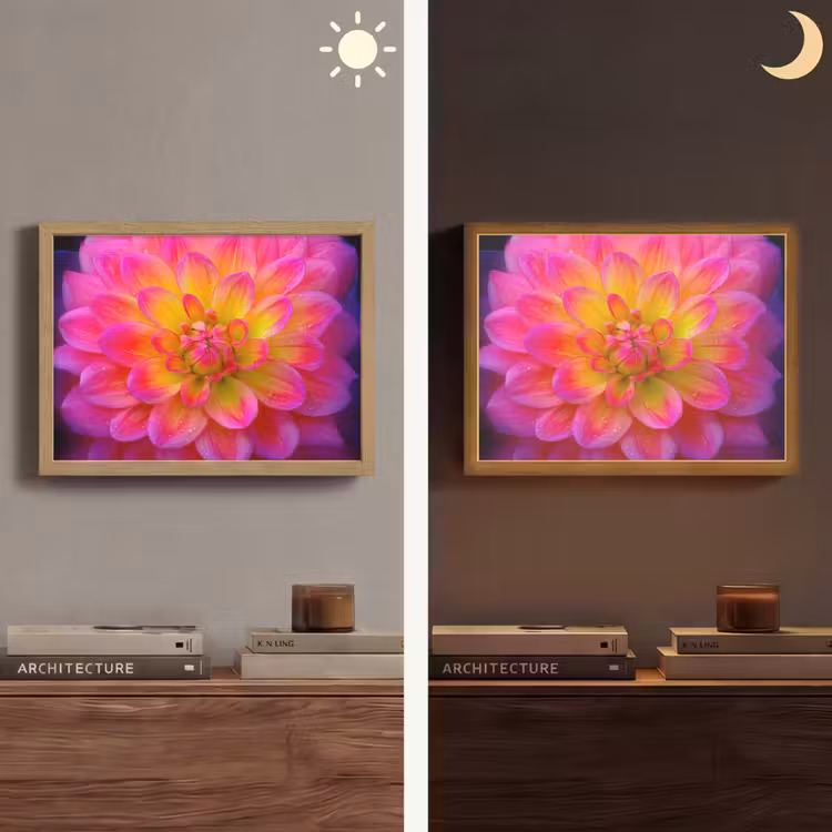 Lightbox - Wandlamp - Roze - Dahlia - Kleurrijk — 6