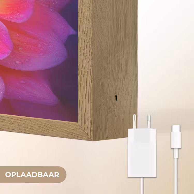 Lightbox - Wandlamp - Roze - Dahlia - Kleurrijk — 7
