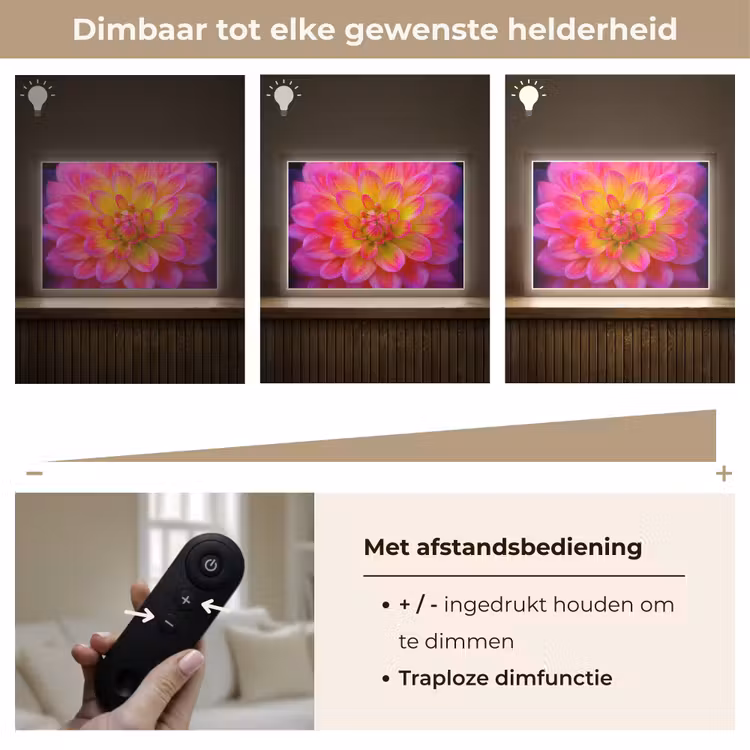 Lightbox - Wandlamp - Roze - Dahlia - Kleurrijk — 9