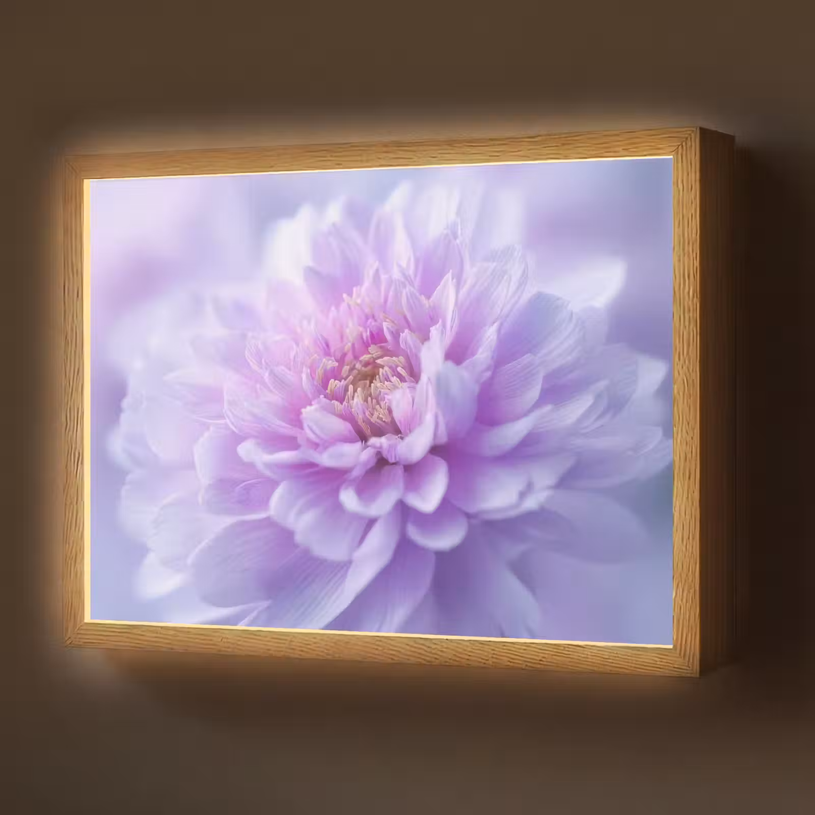 Lightbox - Wandlamp - Paars - Dahlia - Dromerig — 1