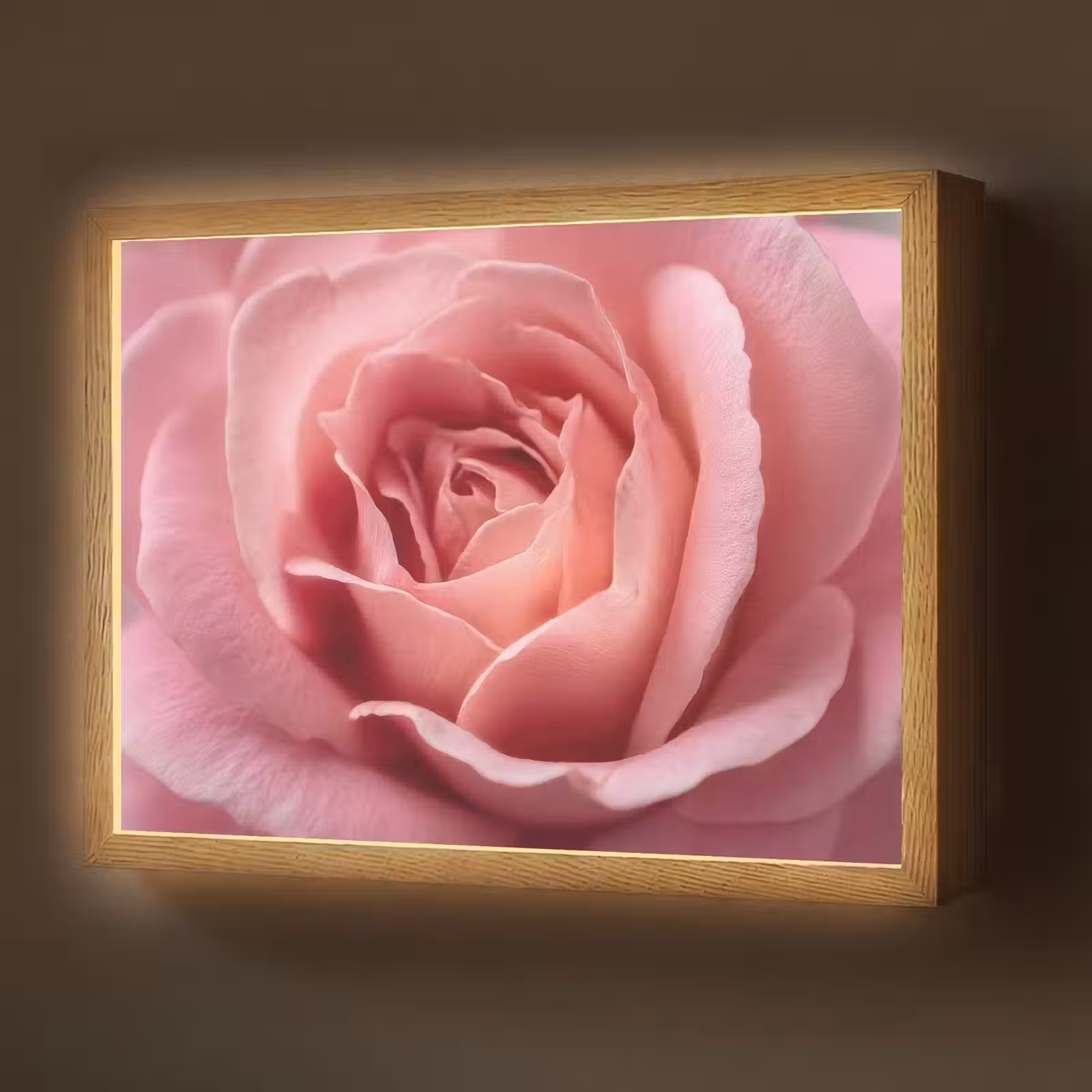 Lightbox - Wandlamp - Roze - Roos - Romantisch — 1