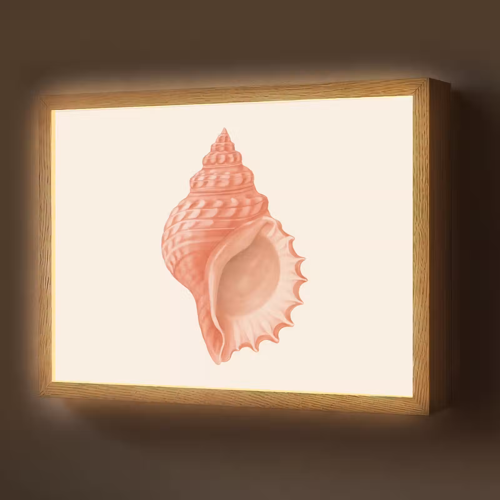 Lightbox - Wandlamp - Schelp - Roze - Structuur — 1