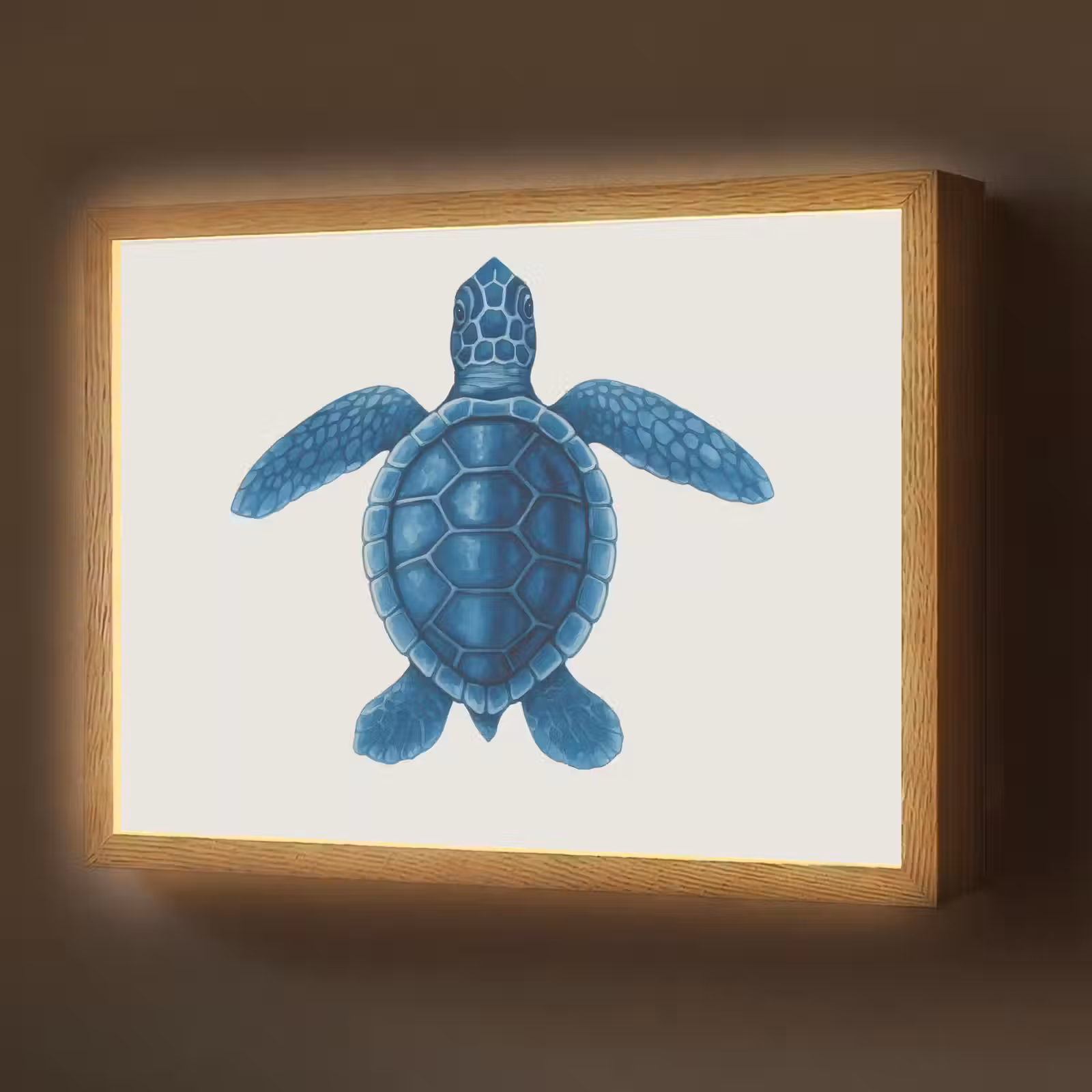 Lightbox - Wandlamp - Schildpad - Blauw - Schild — 1