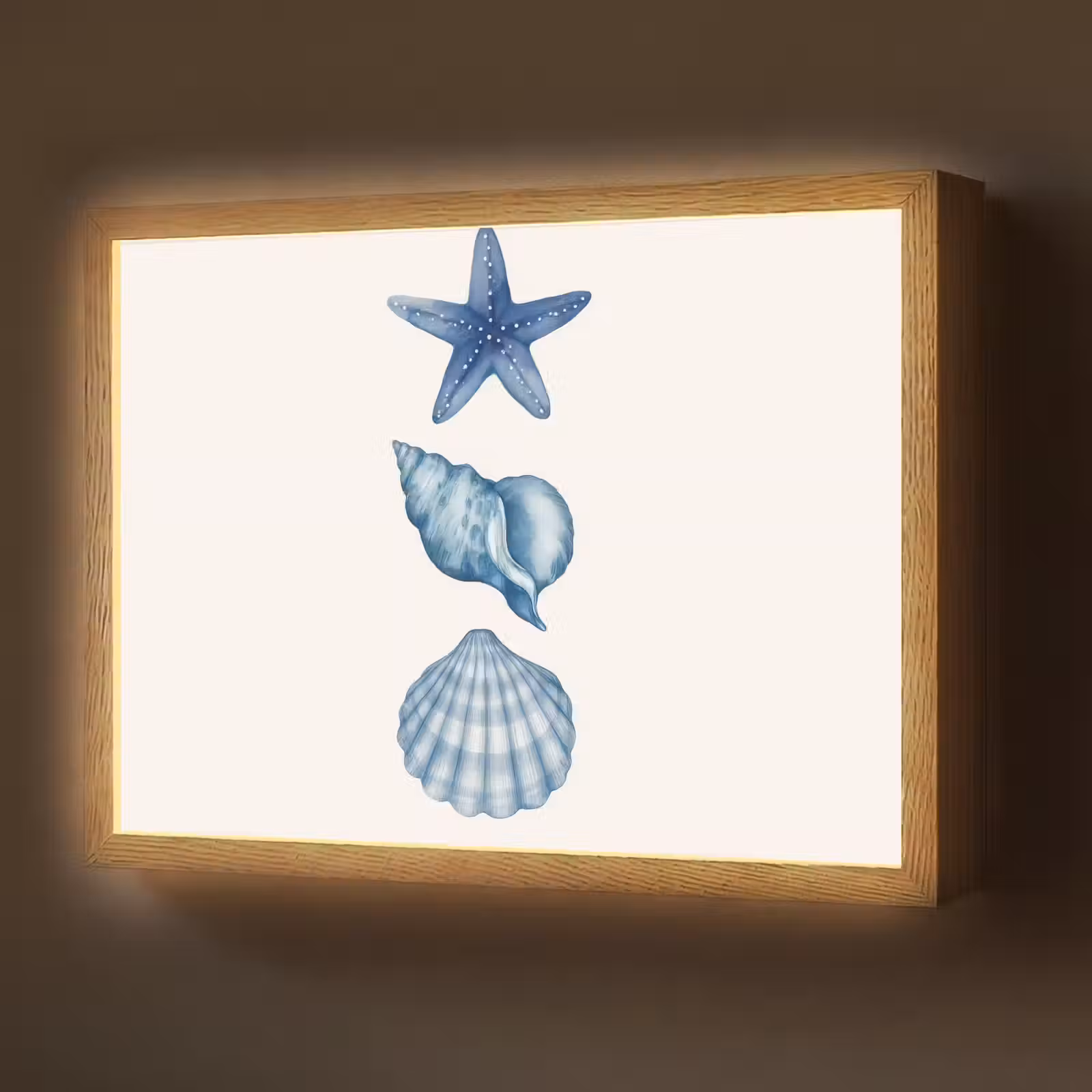 Lightbox - Wandlamp - Zeester - Schelpen - Blauw — 1