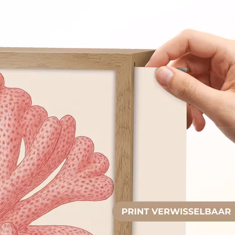 Lightbox - Wandlamp - Koraal - Stipjes - Roze — 5