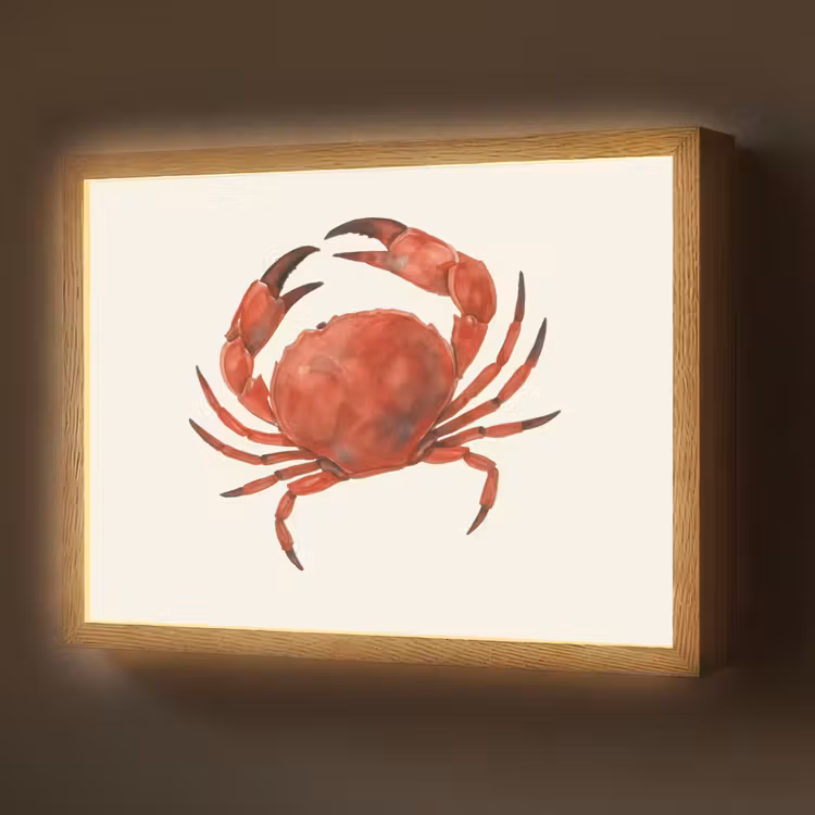 Lightbox - Wandlamp - Krab - Felrood - Poten — 1
