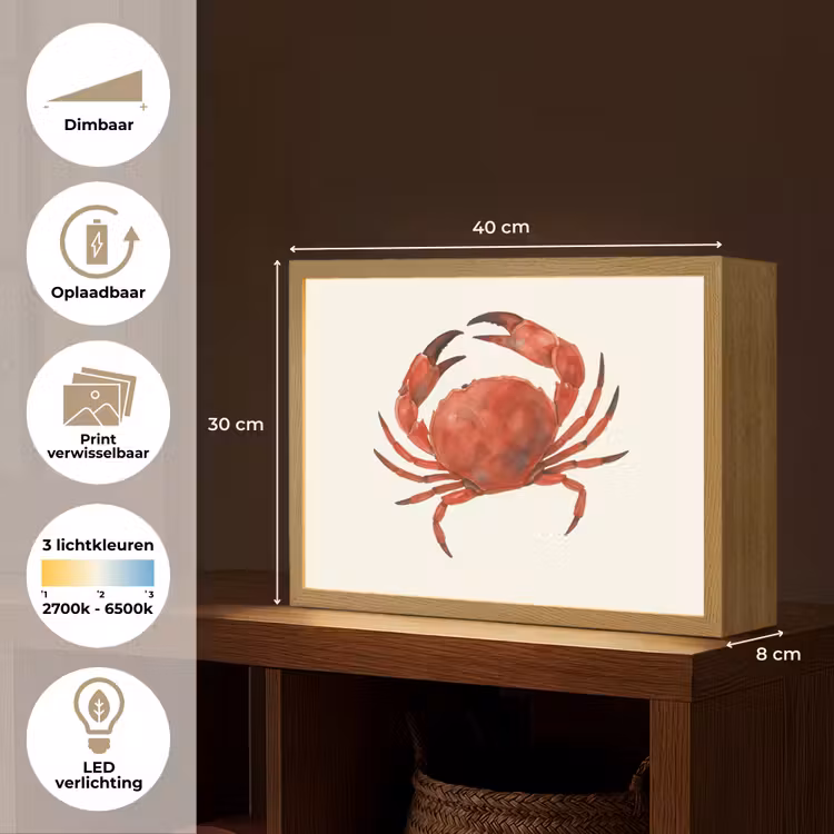 Lightbox - Wandlamp - Krab - Felrood - Poten — 10