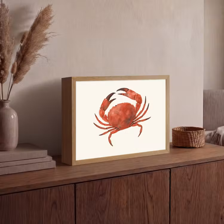 Lightbox - Wandlamp - Krab - Felrood - Poten — 4