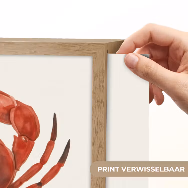 Lightbox - Wandlamp - Krab - Felrood - Poten — 5