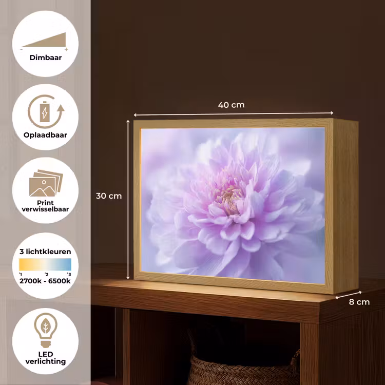 Lightbox - Wandlamp - Paars - Dahlia - Dromerig — 10
