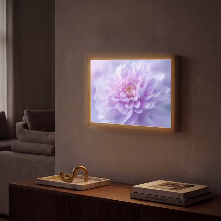 Lightbox - Wandlamp - Paars - Dahlia - Dromerig — 2