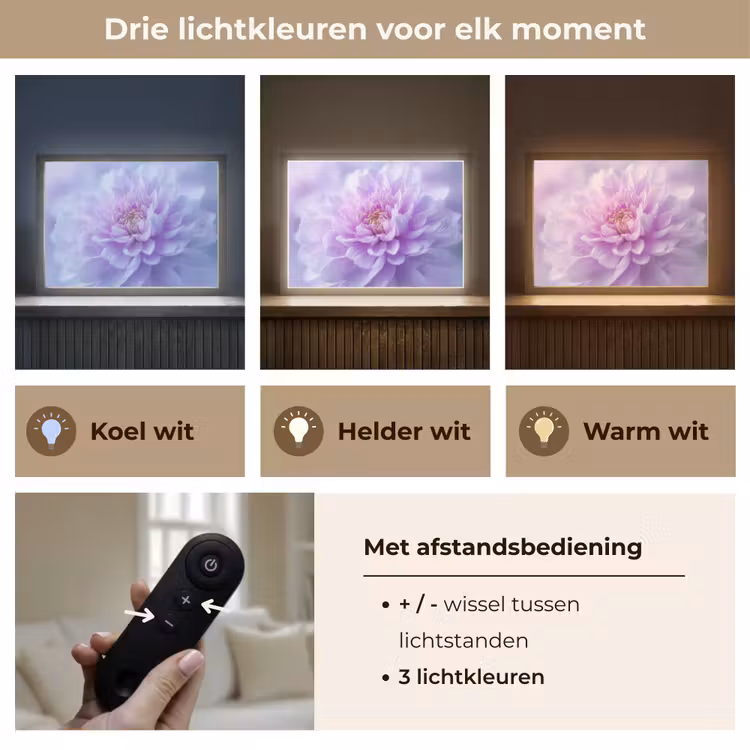 Lightbox - Wandlamp - Paars - Dahlia - Dromerig — 8