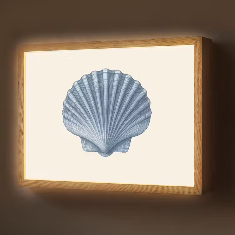 Lightbox - Wandlamp - Ribbels - Blauw - Schelp — 1