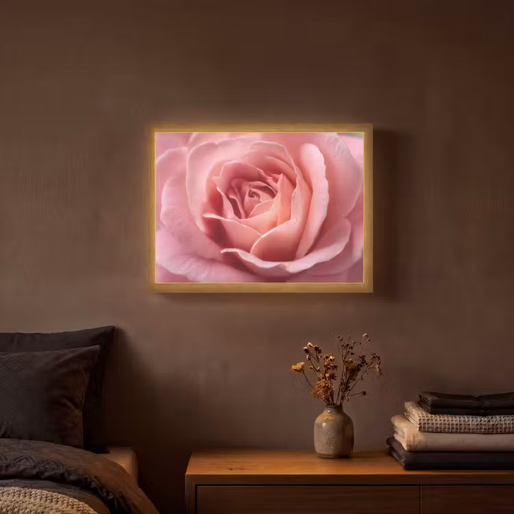 Lightbox - Wandlamp - Roze - Roos - Romantisch — 3
