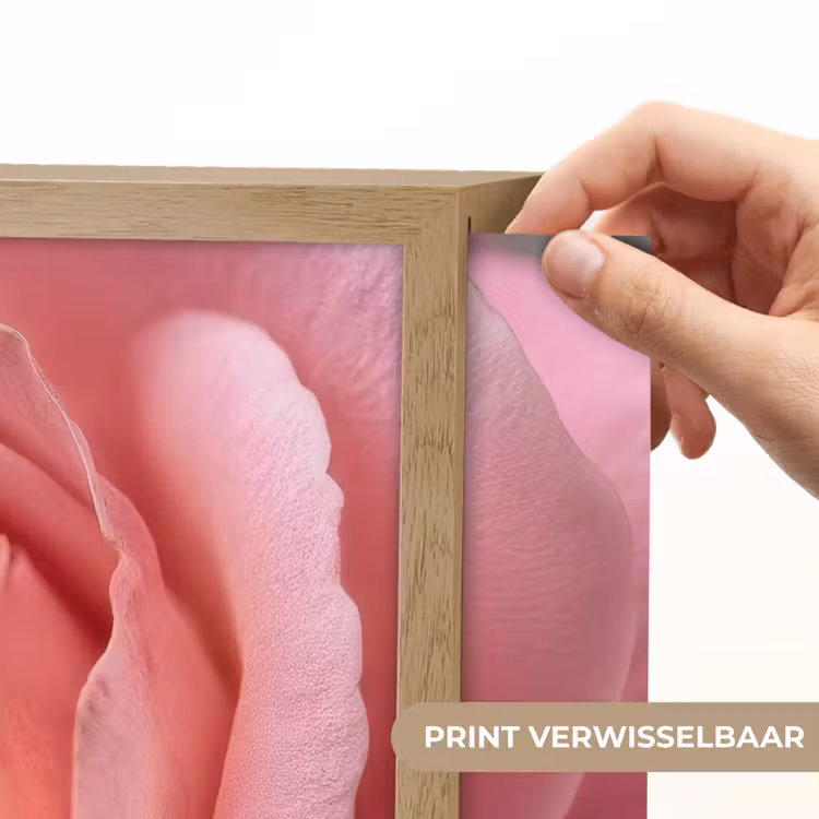 Lightbox - Wandlamp - Roze - Roos - Romantisch — 5