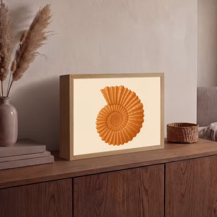 Lightbox - Wandlamp - Schelp - Oranje - Ribbels — 4