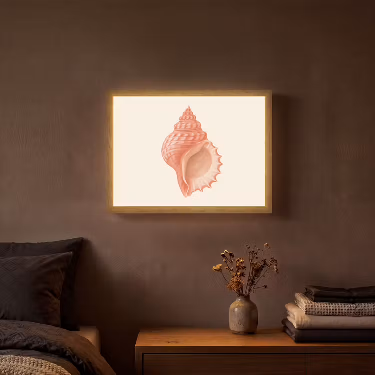 Lightbox - Wandlamp - Schelp - Roze - Structuur — 3