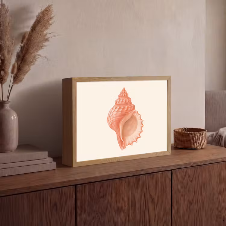 Lightbox - Wandlamp - Schelp - Roze - Structuur — 4