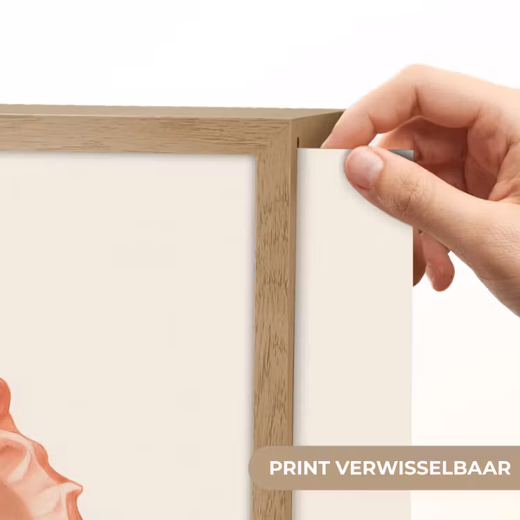 Lightbox - Wandlamp - Schelp - Roze - Structuur — 5