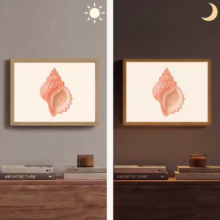 Lightbox - Wandlamp - Schelp - Roze - Structuur — 6
