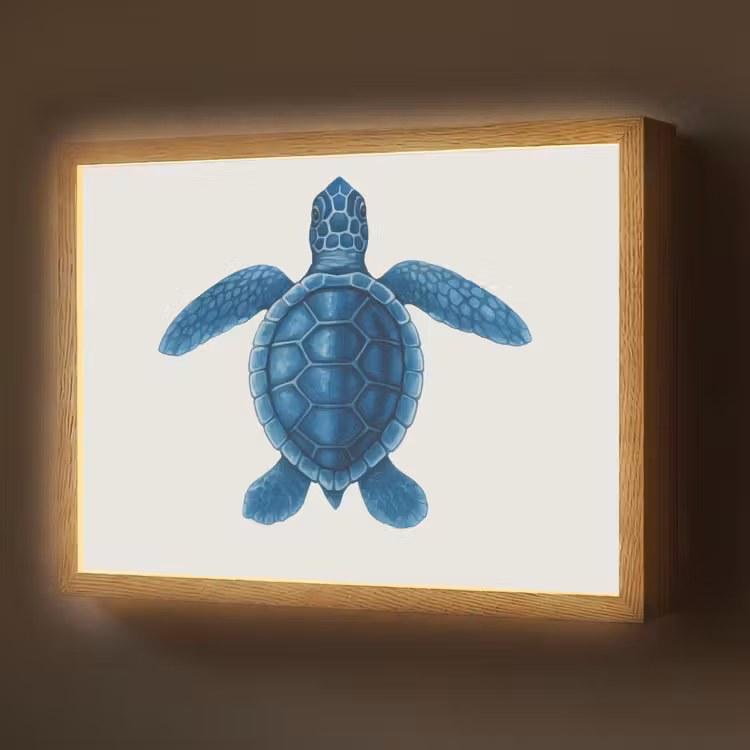 Lightbox - Wandlamp - Schildpad - Blauw - Schild — 1