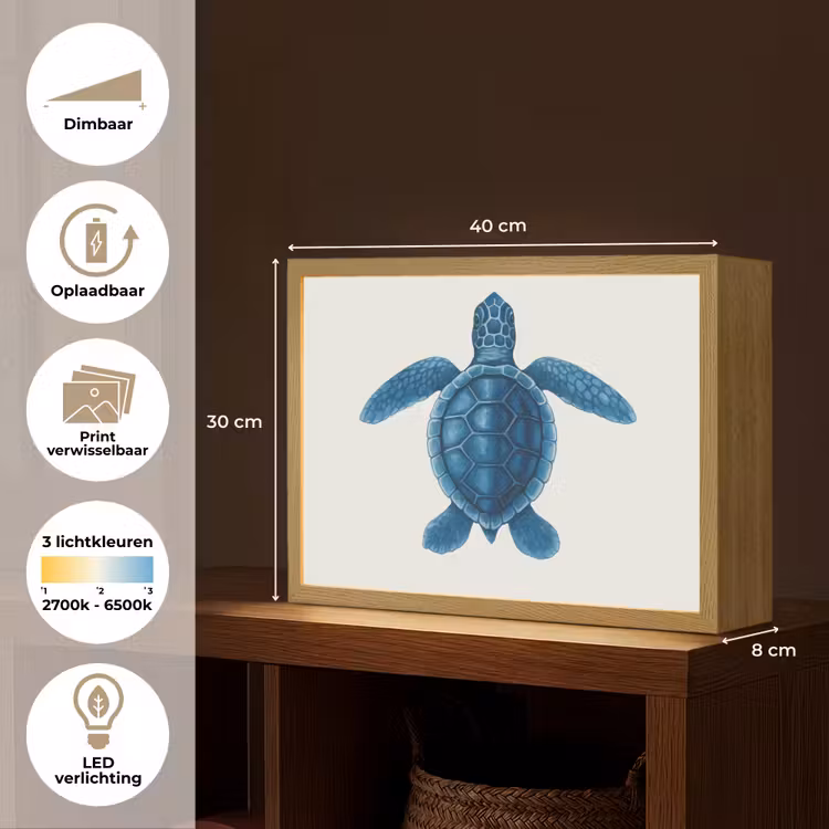 Lightbox - Wandlamp - Schildpad - Blauw - Schild — 10