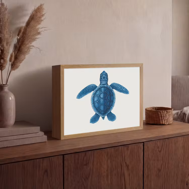 Lightbox - Wandlamp - Schildpad - Blauw - Schild — 4