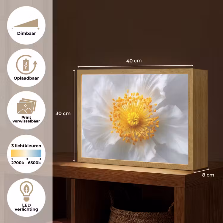 Lightbox - Wandlamp - Wit - Bloem - Elegant — 10