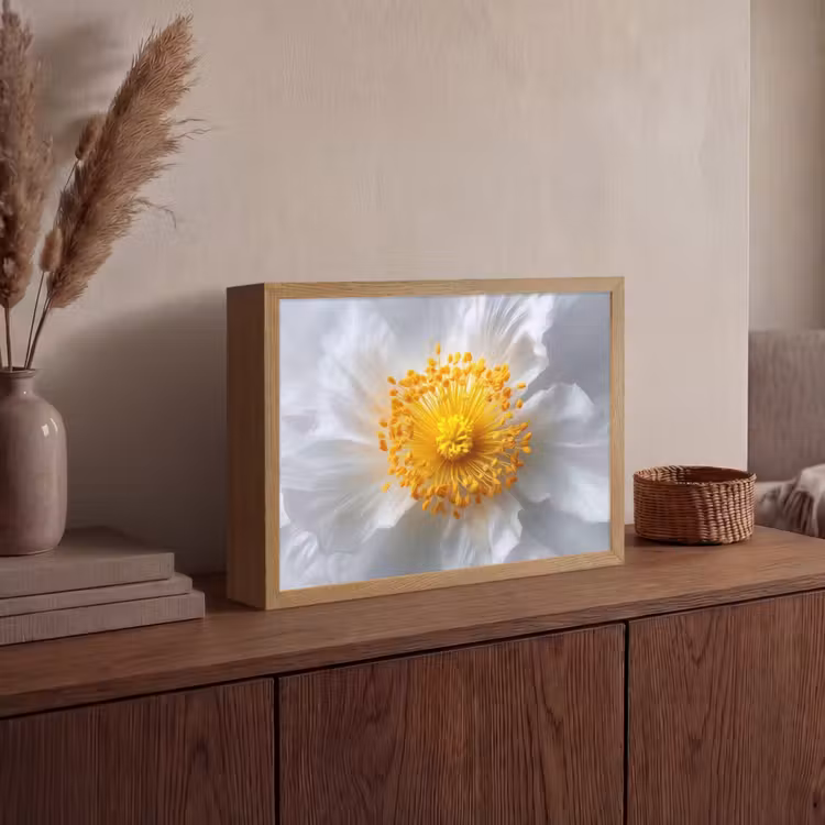 Lightbox - Wandlamp - Wit - Bloem - Elegant — 4