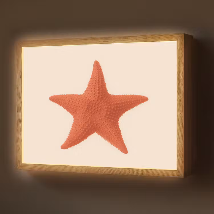 Lightbox - Wandlamp - Zeester - Bobbels - Rood — 1