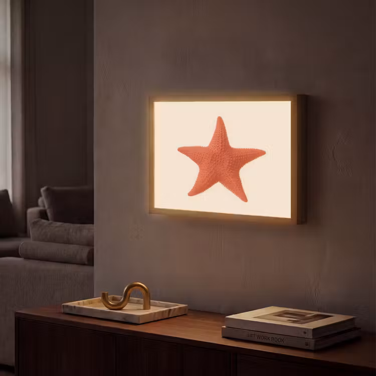 Lightbox - Wandlamp - Zeester - Bobbels - Rood — 2