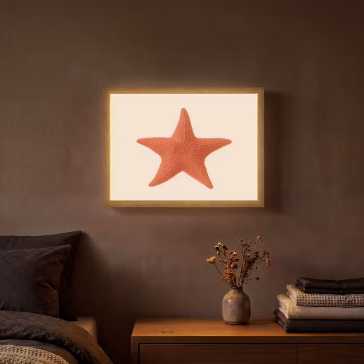 Lightbox - Wandlamp - Zeester - Bobbels - Rood — 3