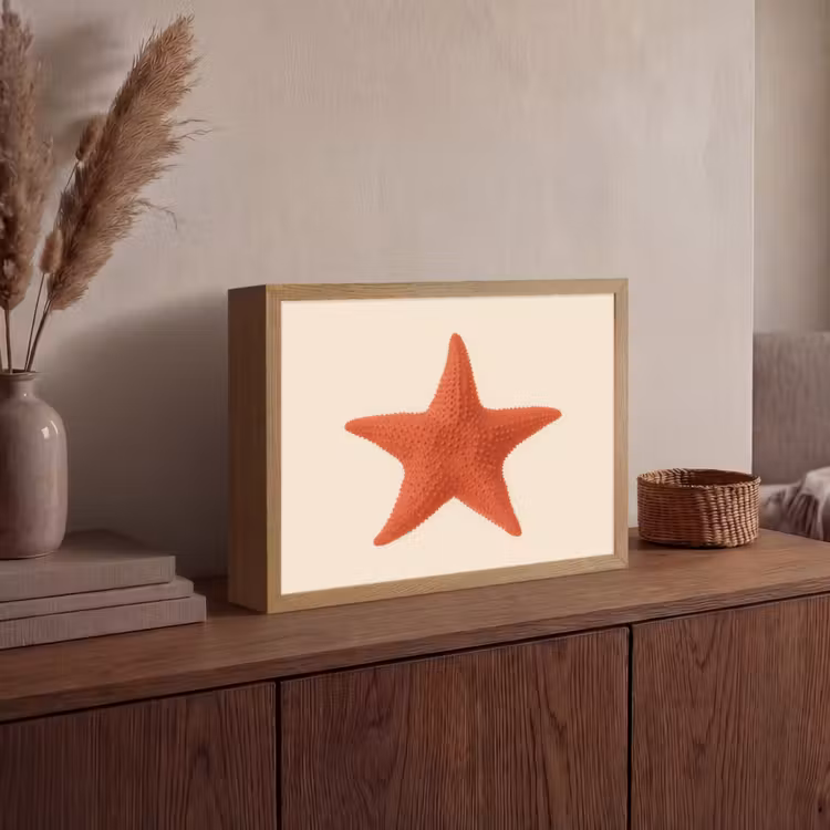 Lightbox - Wandlamp - Zeester - Bobbels - Rood — 4