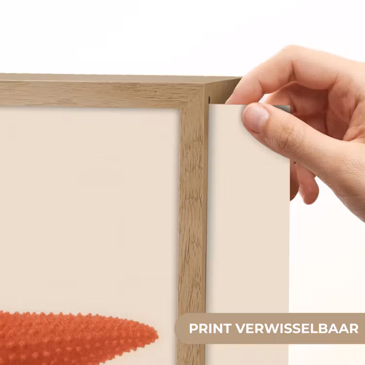 Lightbox - Wandlamp - Zeester - Bobbels - Rood — 5