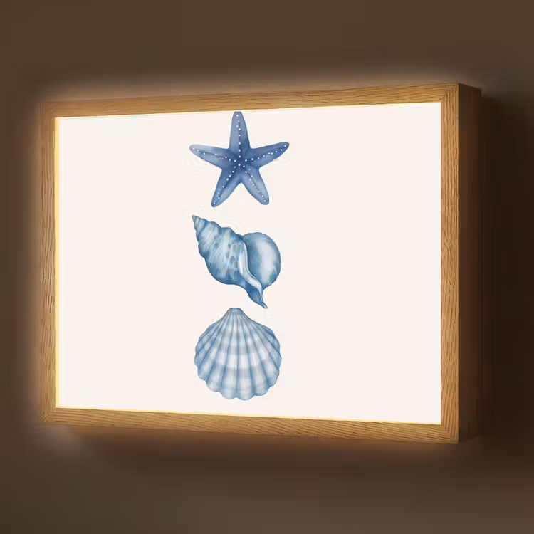 Lightbox - Wandlamp - Zeester - Schelpen - Blauw — 1
