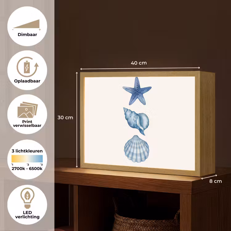 Lightbox - Wandlamp - Zeester - Schelpen - Blauw — 10