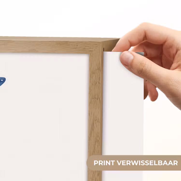 Lightbox - Wandlamp - Zeester - Schelpen - Blauw — 5
