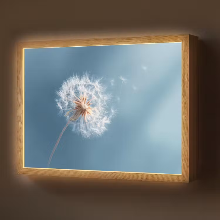 Lightbox - Wandlamp - Paardenbloem - Wind - Blauw — 1