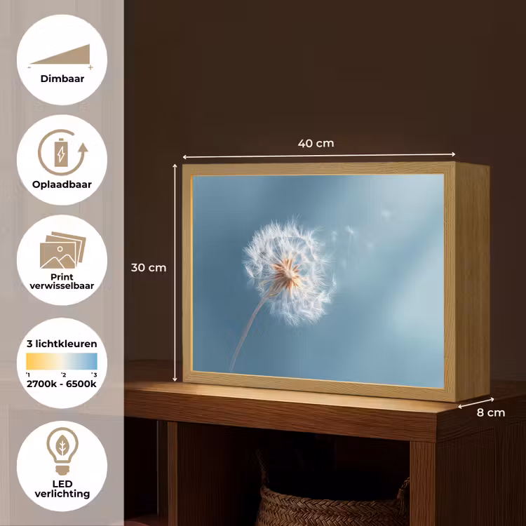 Lightbox - Wandlamp - Paardenbloem - Wind - Blauw — 10