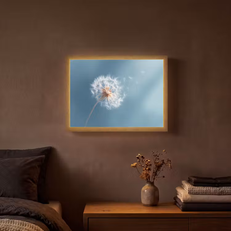Lightbox - Wandlamp - Paardenbloem - Wind - Blauw — 3
