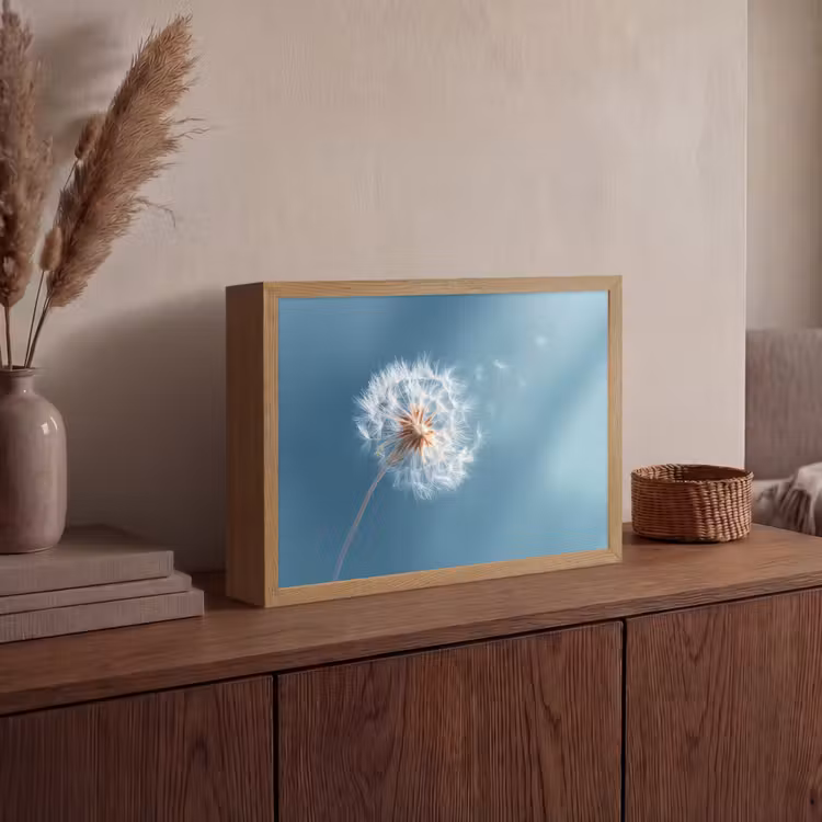 Lightbox - Wandlamp - Paardenbloem - Wind - Blauw — 4